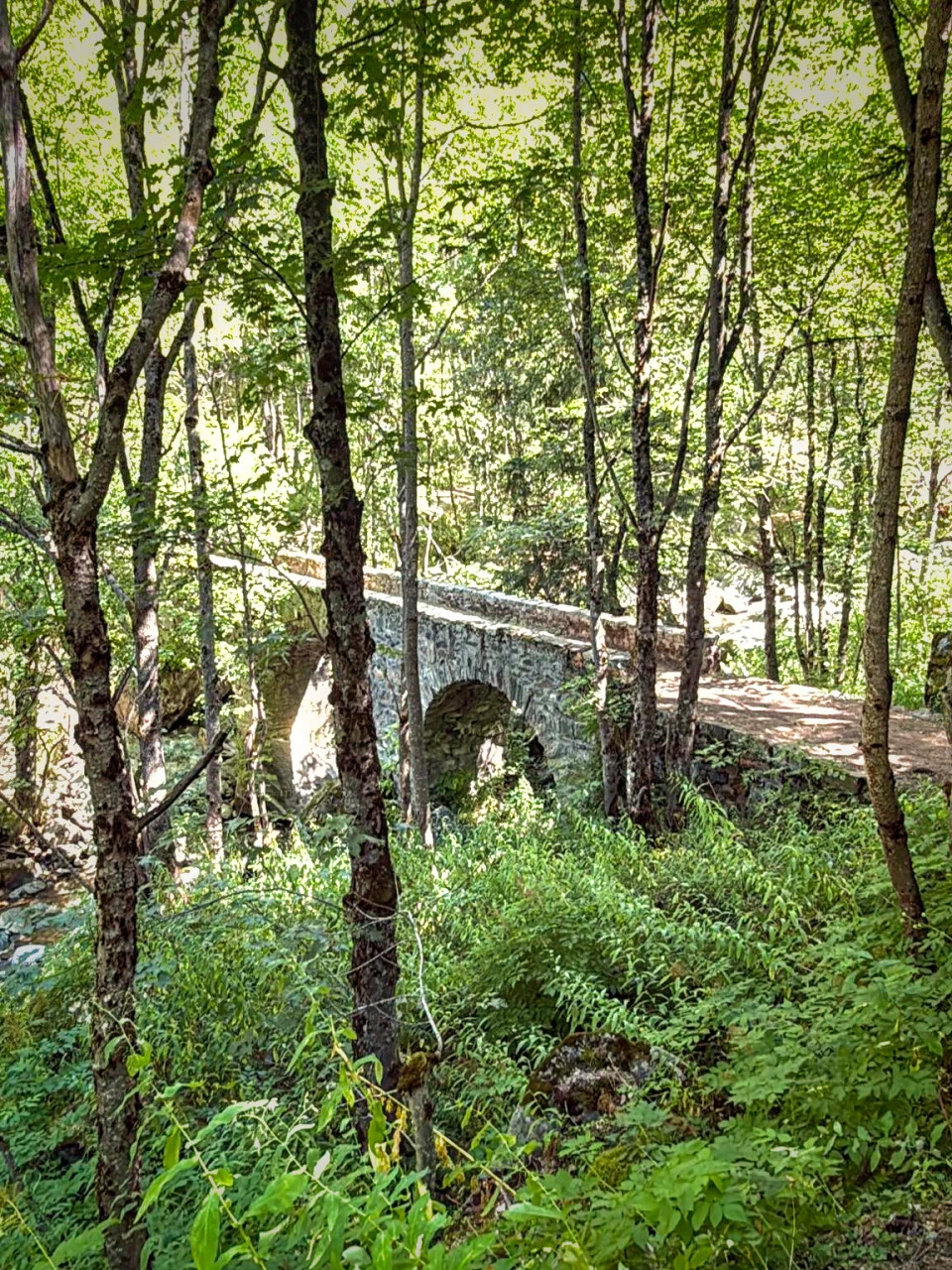 Pasarela sobre el Vénéon