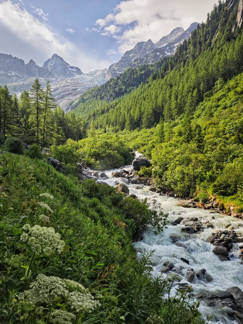 Glaciar de Trient - TMB