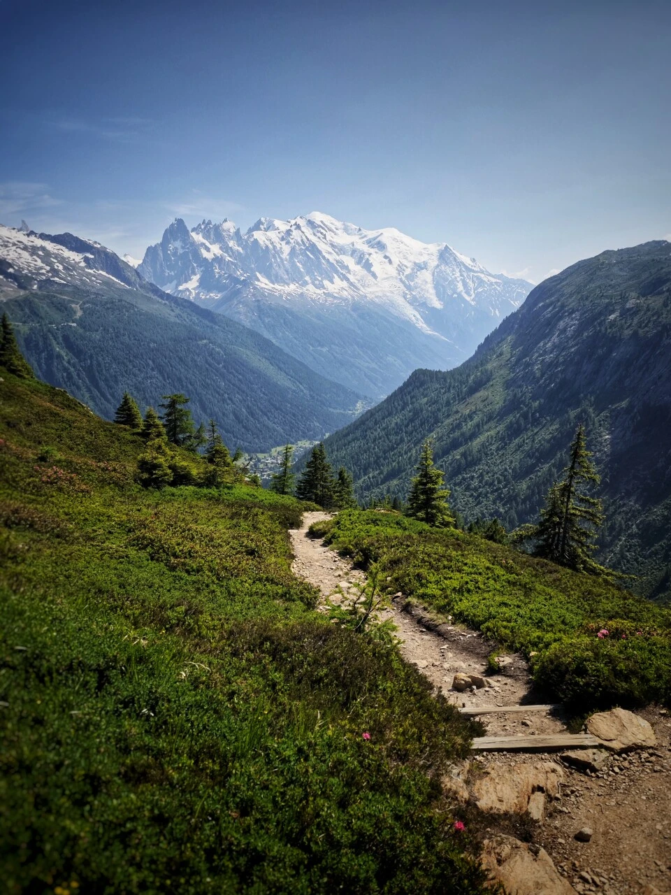 Sendero en pastos alpinos con vista al Mont-Blanc, entre el Col de Balme y Trè-le-Champ