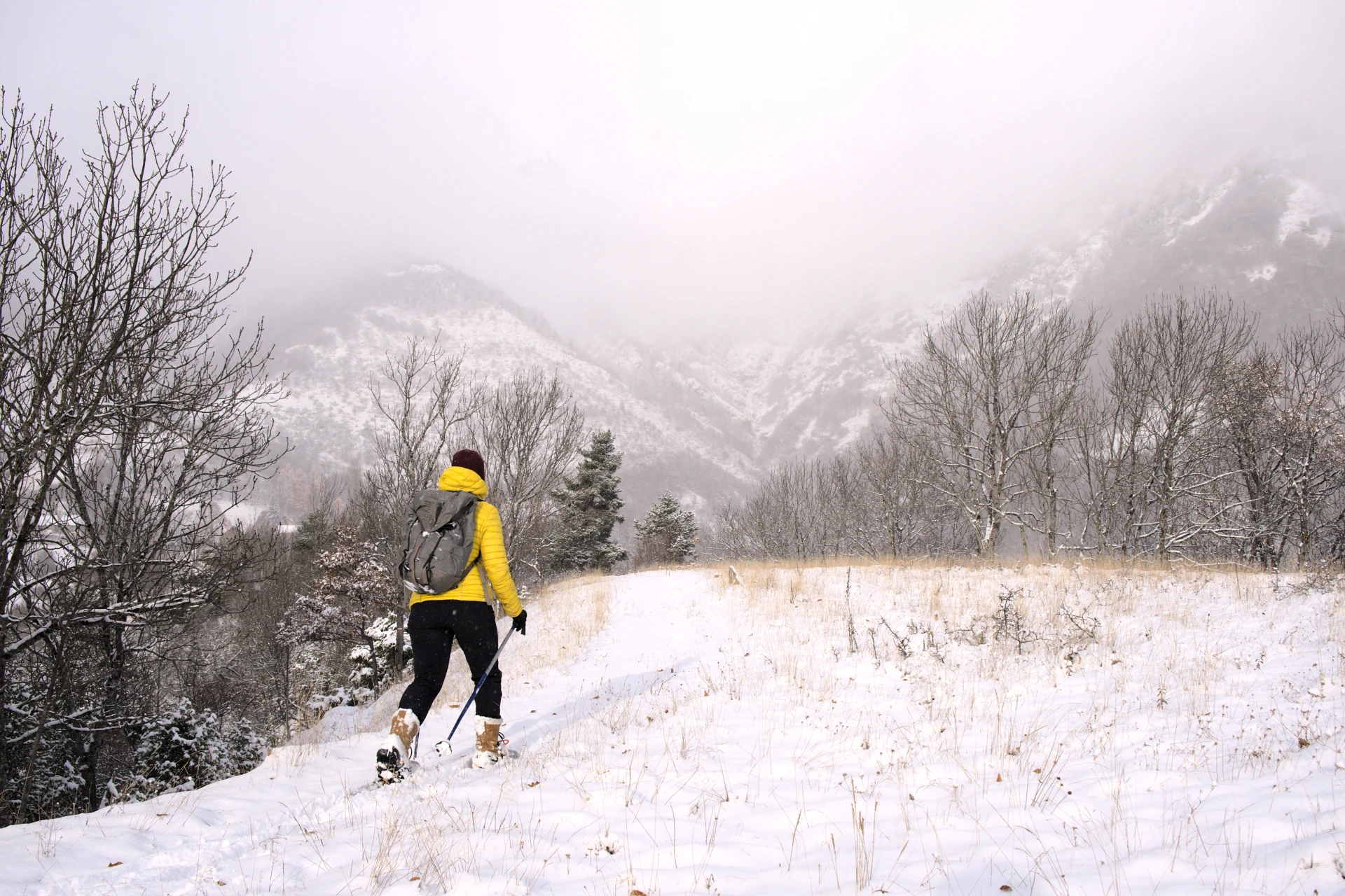 iniciación raquetas de nieve