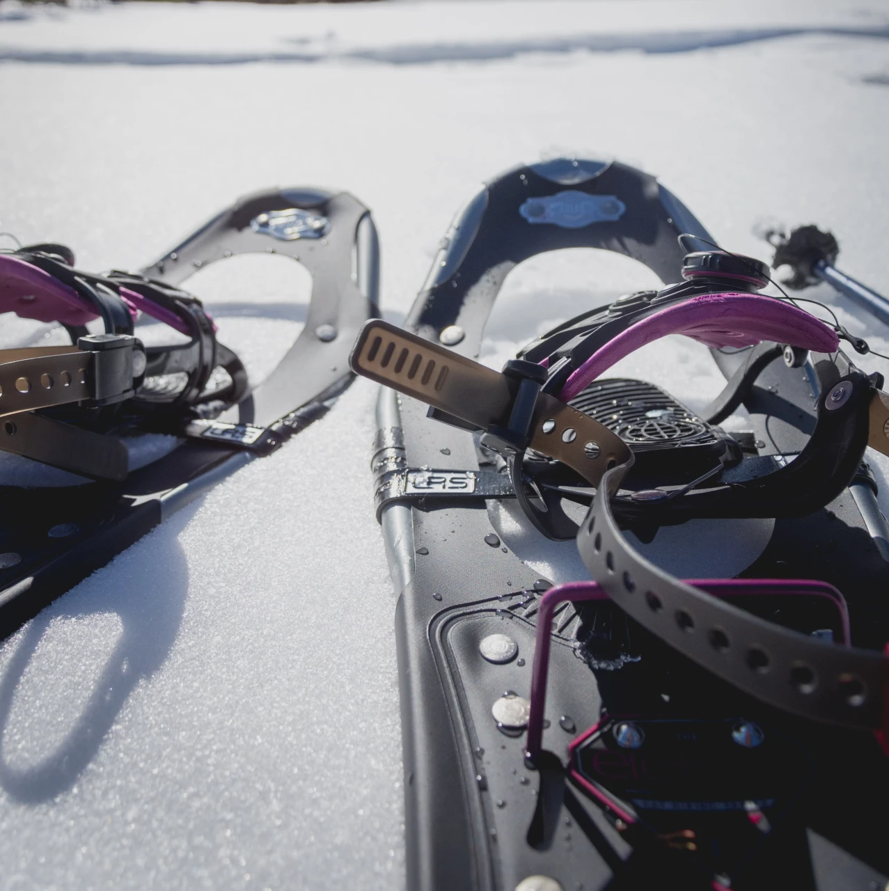 Alquiler raquetas de nieve