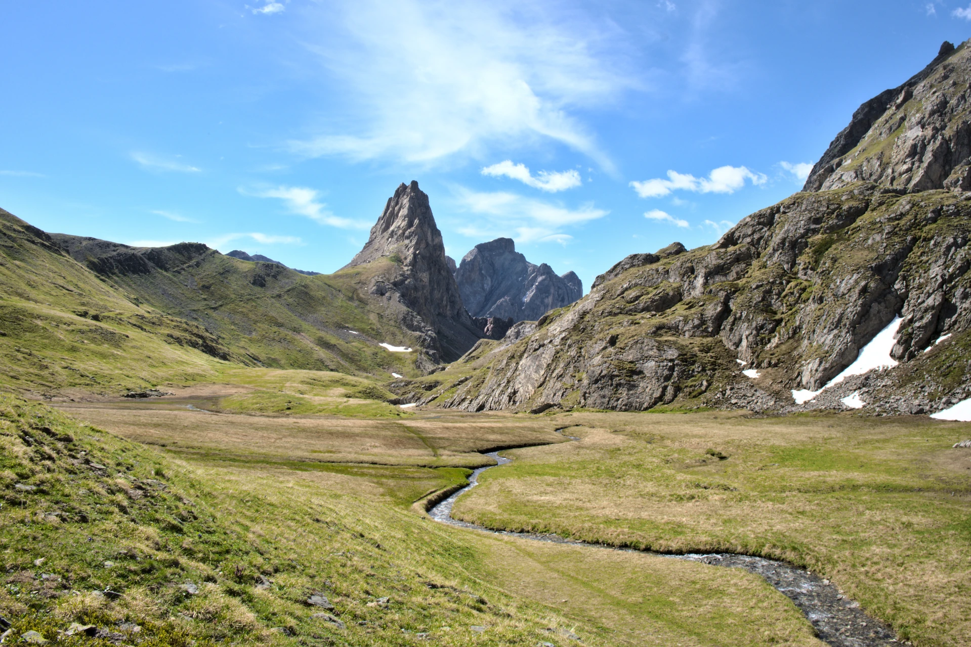 Los pastos de altura del macizo del Thabor, libres de nieve en julio