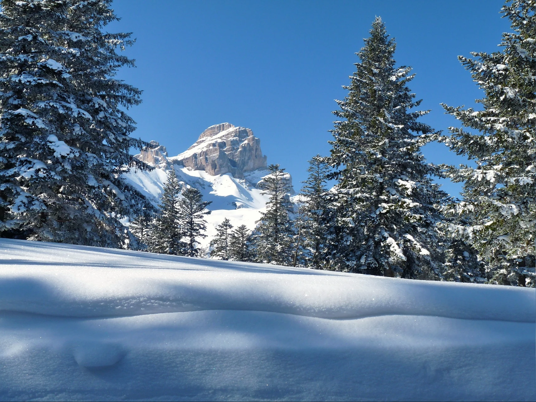 Año Nuevo refugio de montaña Obiou