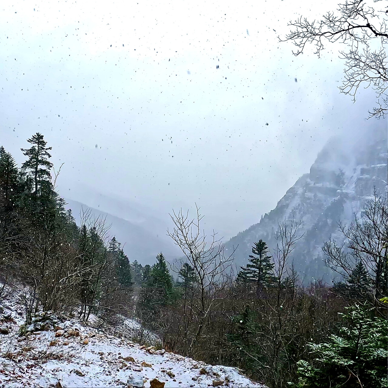 Pas de l'Aiguille - Neige - Week-end Raquette Vercors