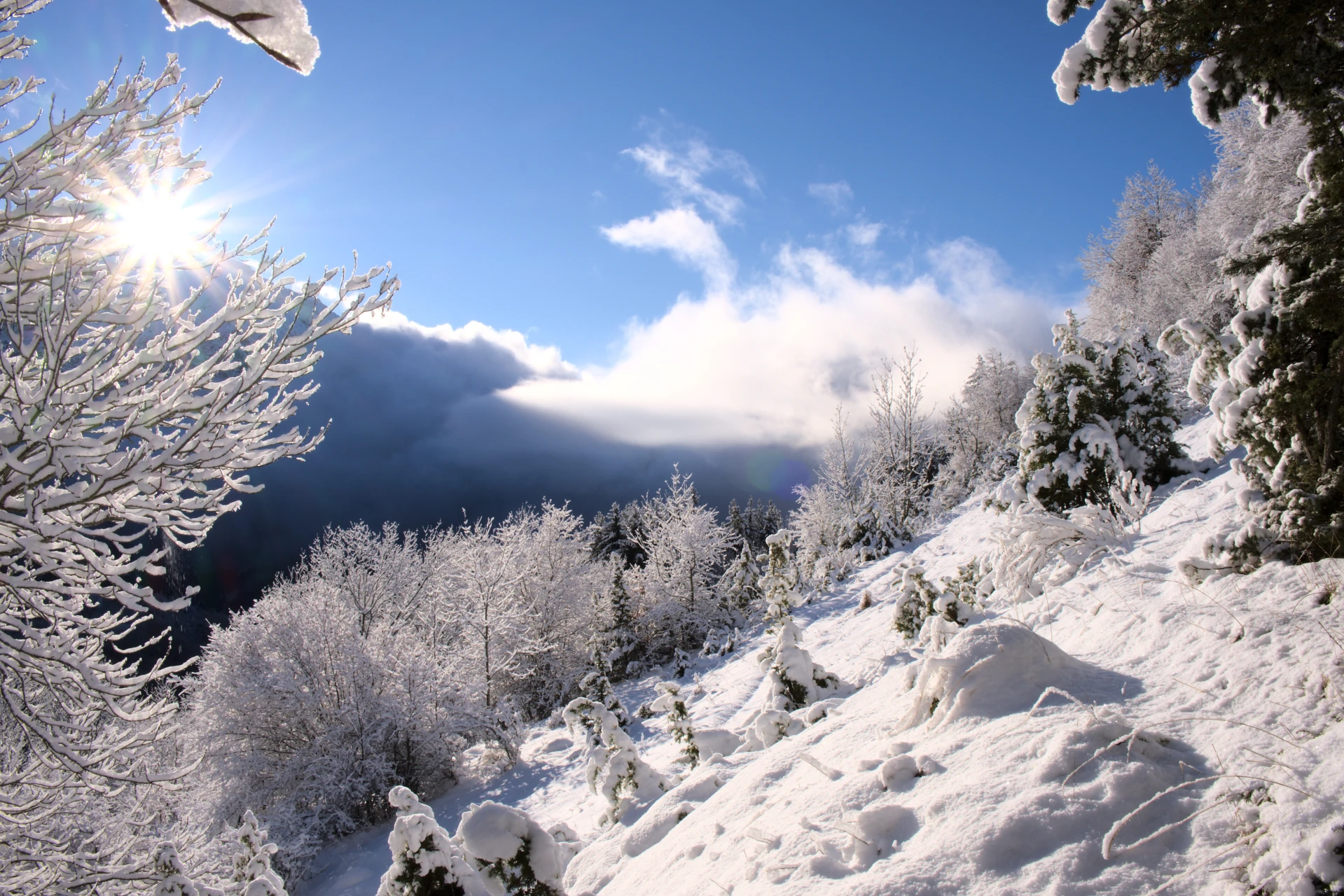 paisaje de nieve en champsaur