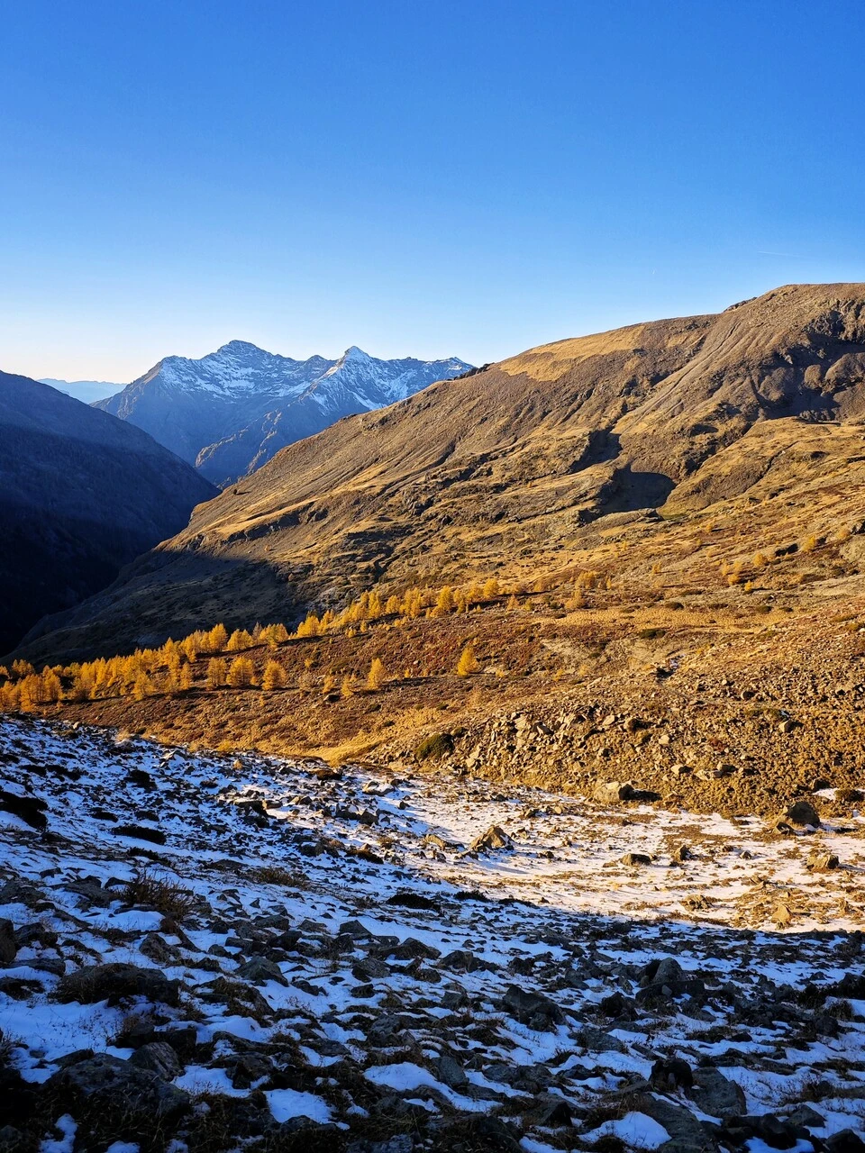 Primera nieve y alerces dorados en el vallón de Chaillol, a finales de octubre