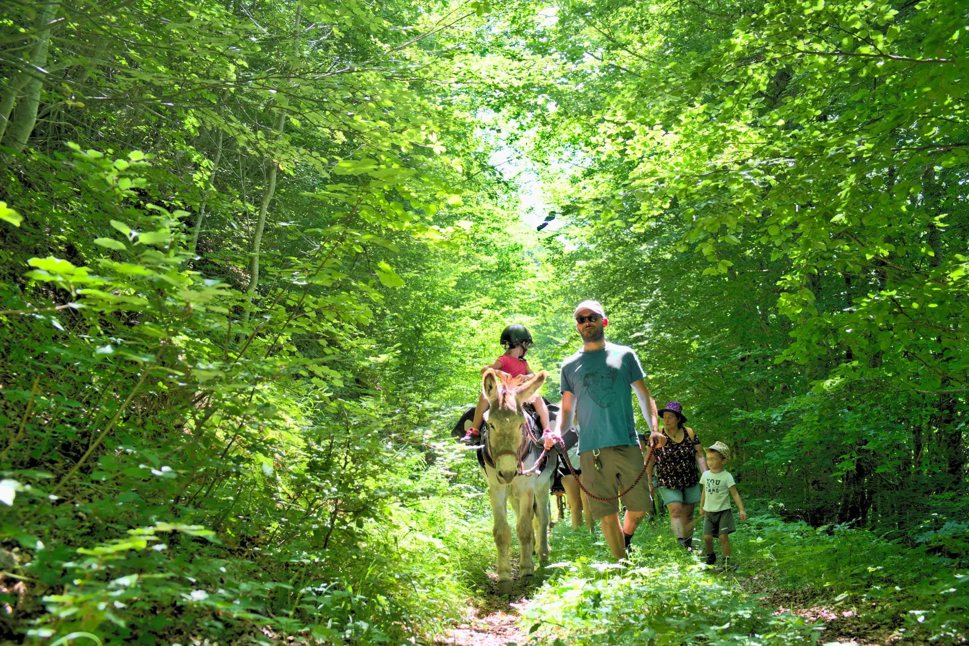 Senderismo con burro en los Alpes