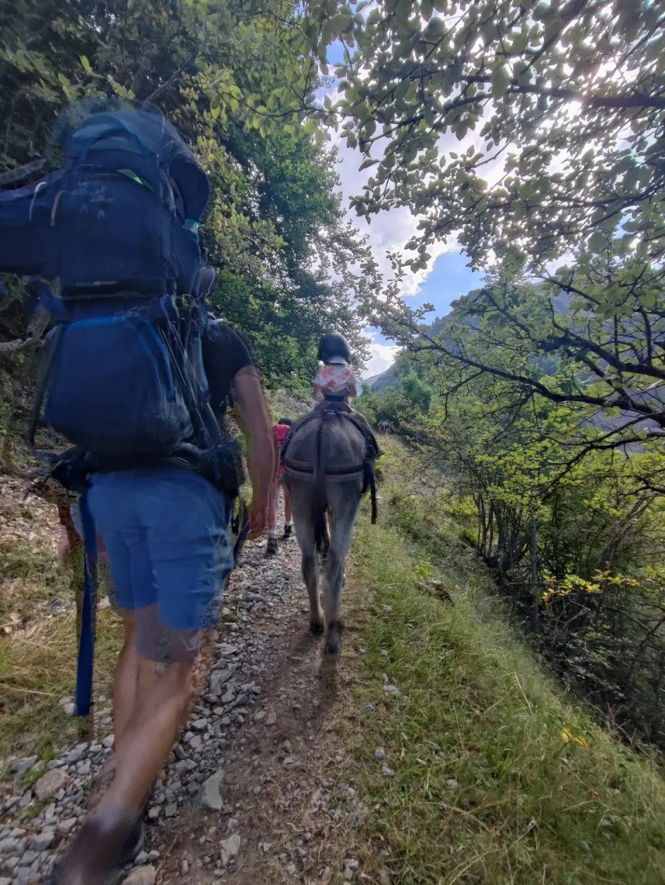 Senderismo familiar con burros