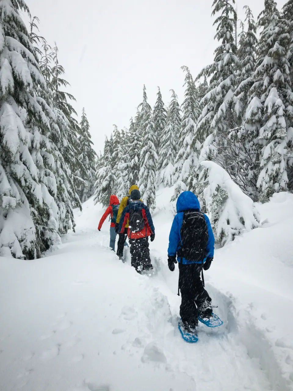 Raquetas de nieve con niños