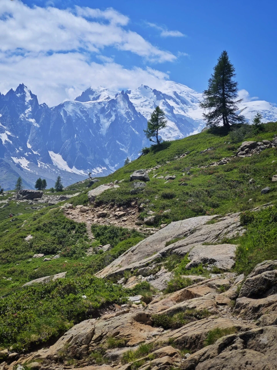 El sendero por encima del col des Montets, con el macizo del Mont-Blanc enfrente durante toda la subida