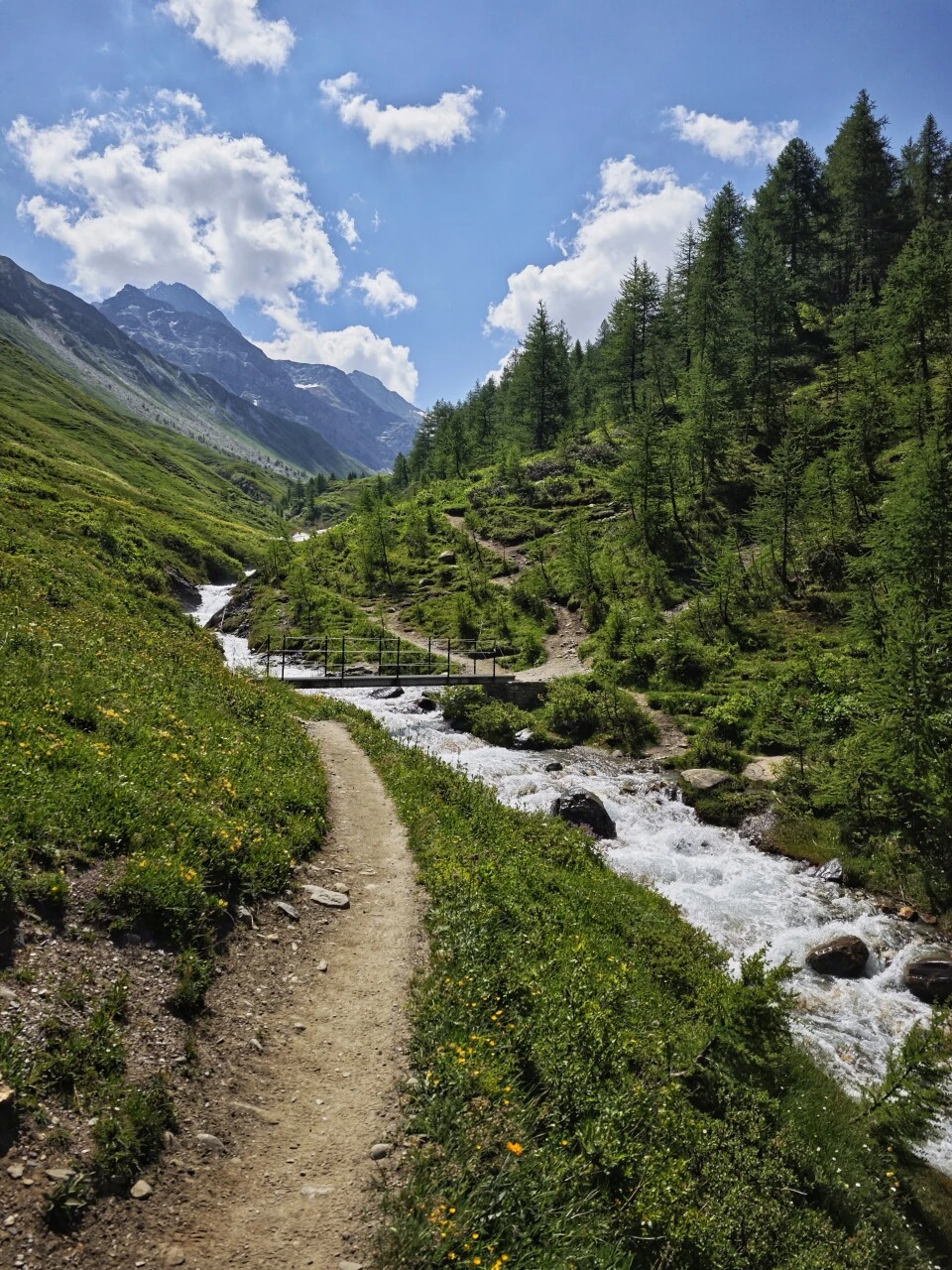 Sendero a lo largo del torrente al dejar el Refuge Bonatti