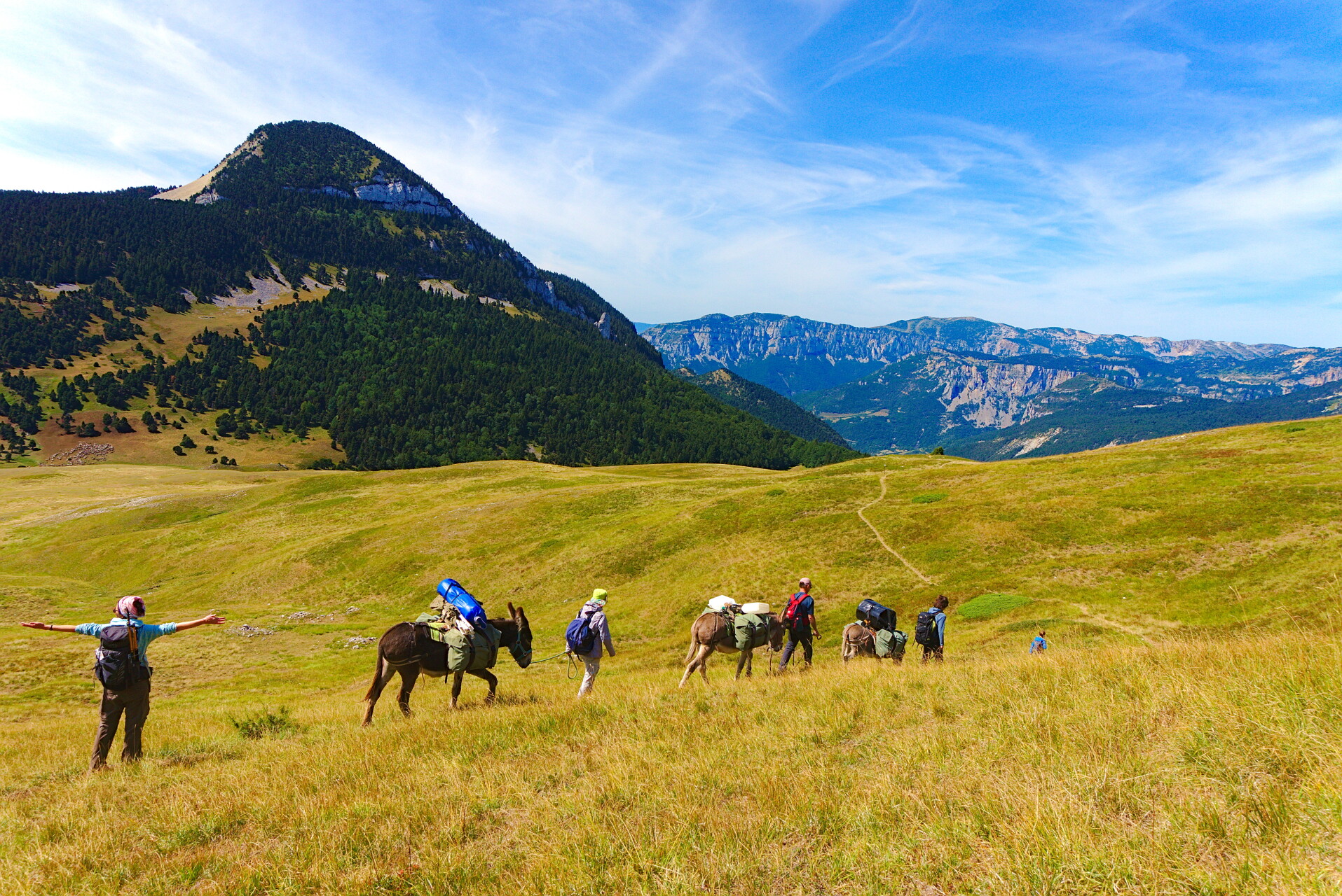 Trek con burro en los Alpes del Sur