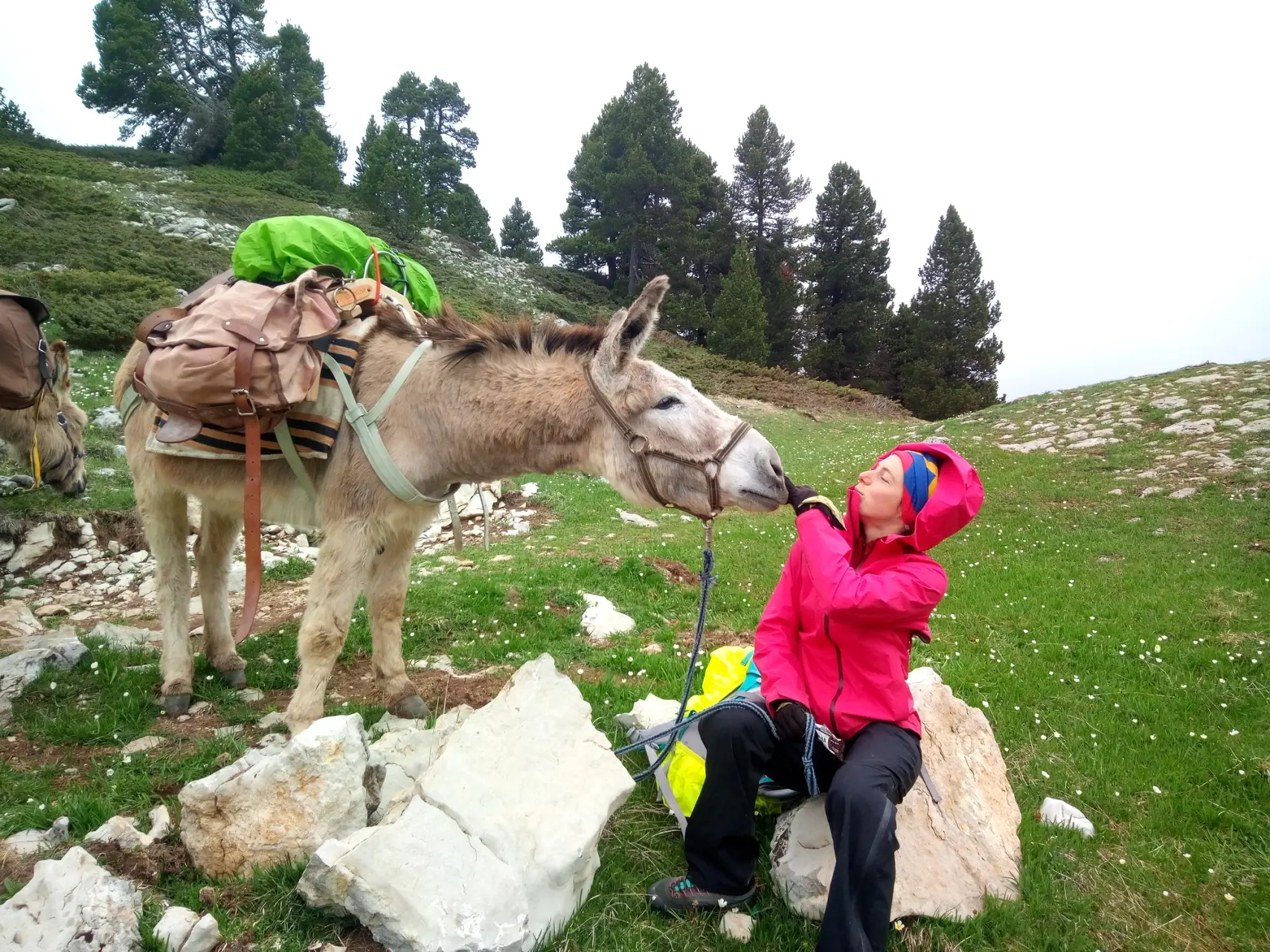 Trek - Burro de carga - Altos Plateaux del Vercors - Mamá joven