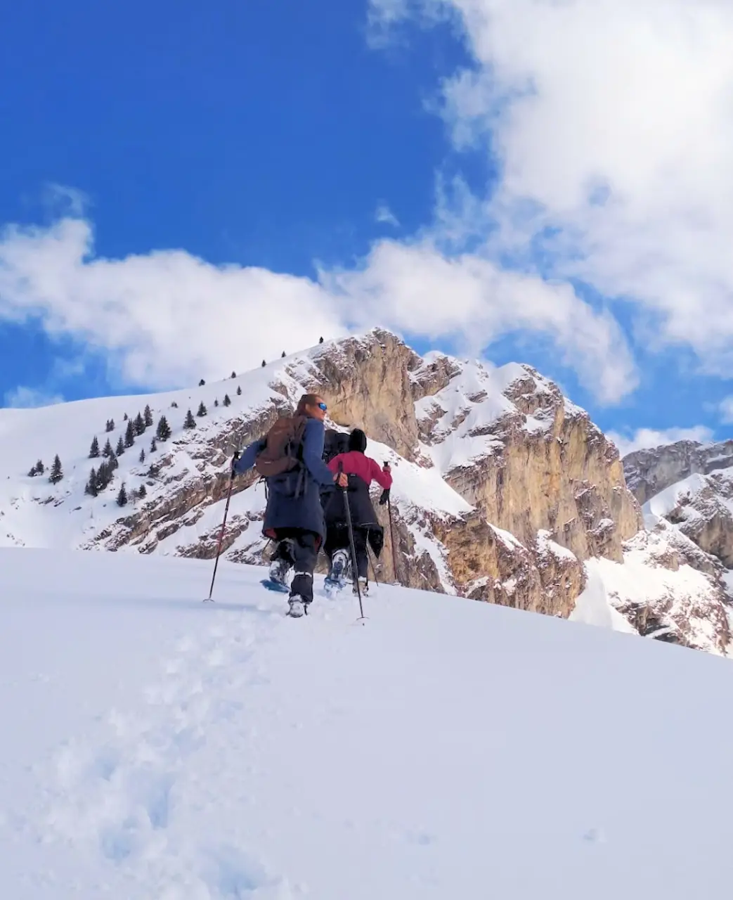 Fin de semana invernal con raquetas - Vercors